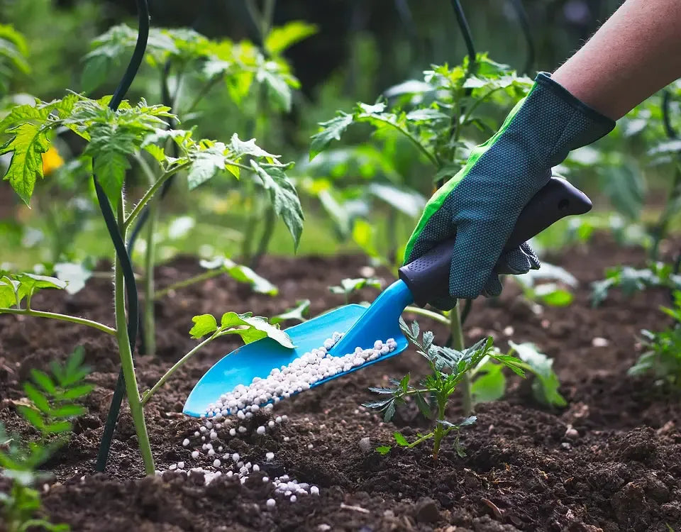 Granular and Foliar Fertilisers Compared