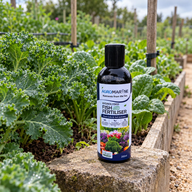 Serbajadi Agromarine Organic Hydrolysed Fish Fertiliser beside a vegetable bed.