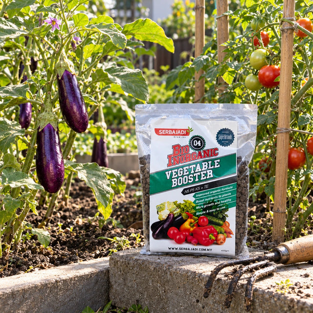 Serbajadi Bio-Inorganic Vegetable Booster 04 beside vegetables in a raised bed.