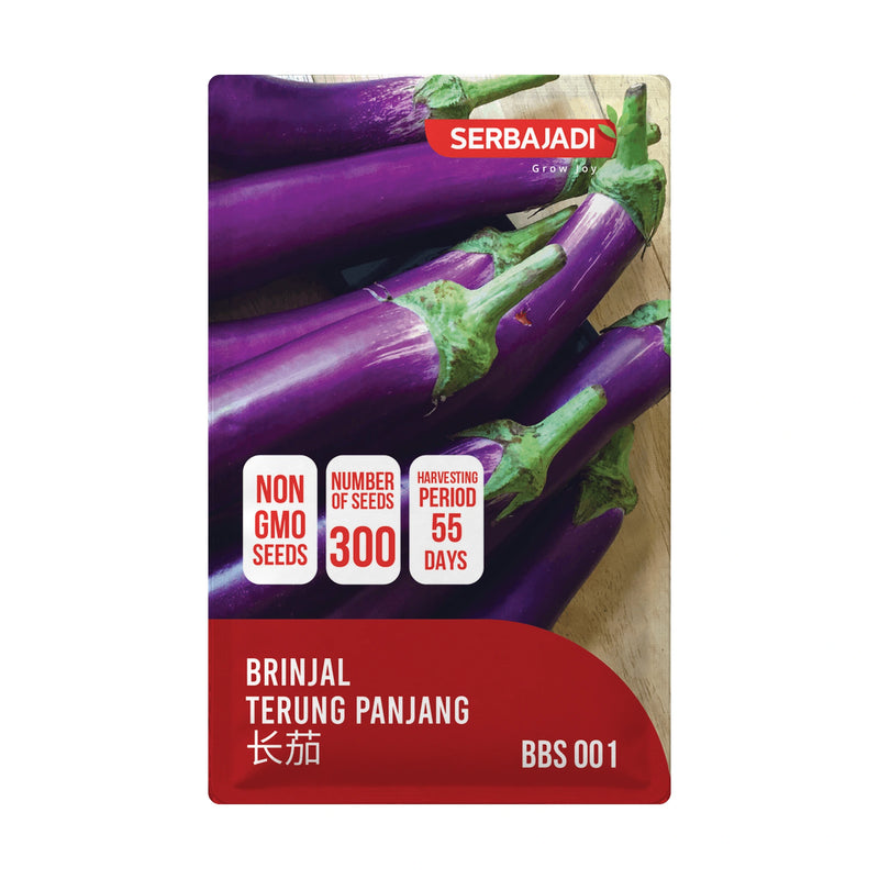 Serbajadi Brinjal Seeds VS001 seed packet on a white background.
