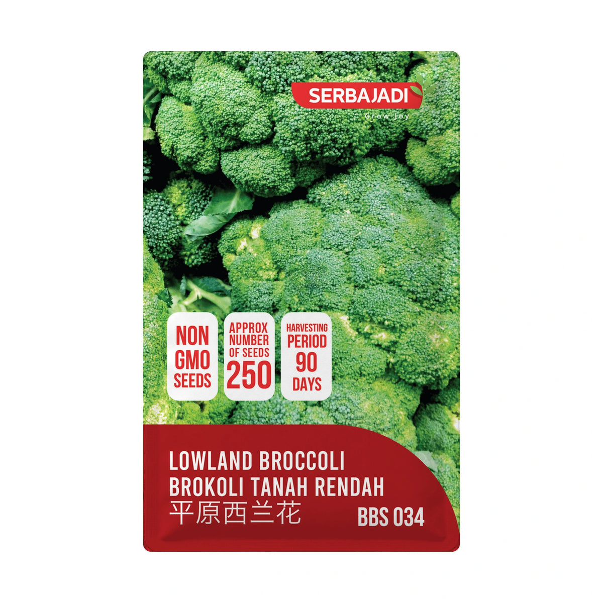 Serbajadi Broccoli VS034 - Nutrient-Rich Harvest
