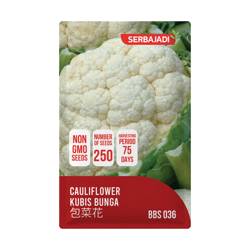 Serbajadi Cauliflower Seeds VS036 seed packet on a white background.