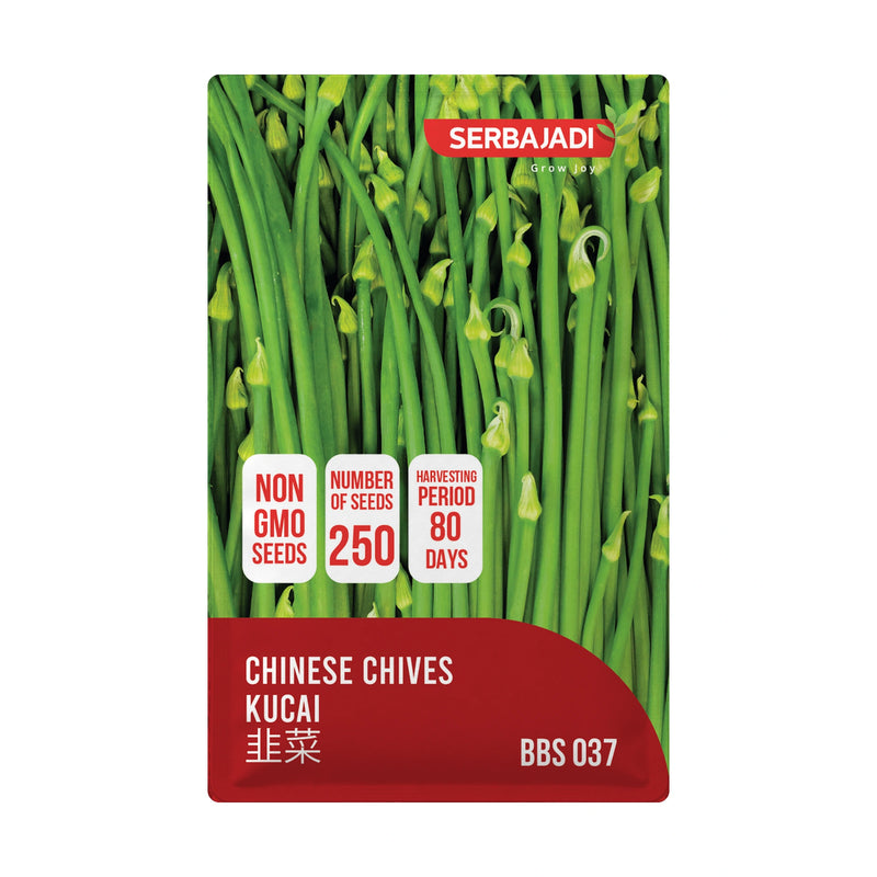 Serbajadi Chinese Chives Seeds VS037 seed packet on a white background.