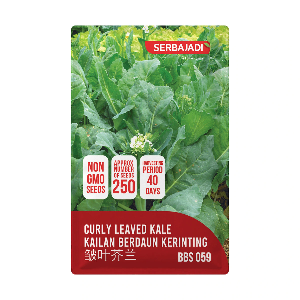 Serbajadi Chinese Kale Curly Leaf VS059 - Vigorous Growth for Abundant Harvest