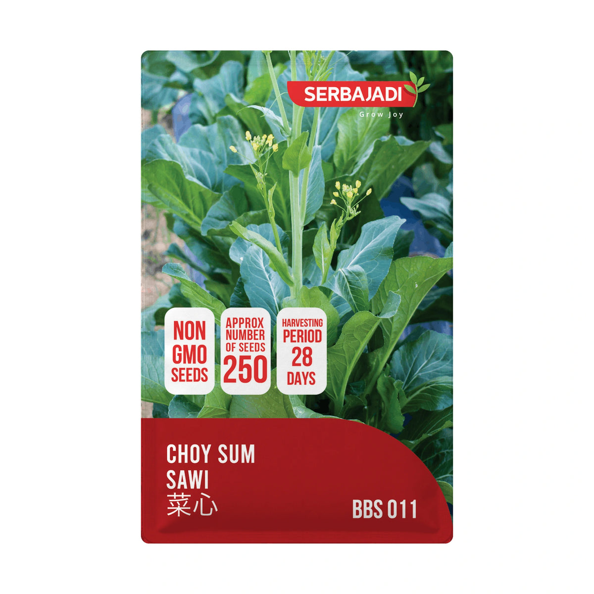 Serbajadi Choy Sam Sawi VS011 - High-Yield Growth for Fresh, Tender Leaves