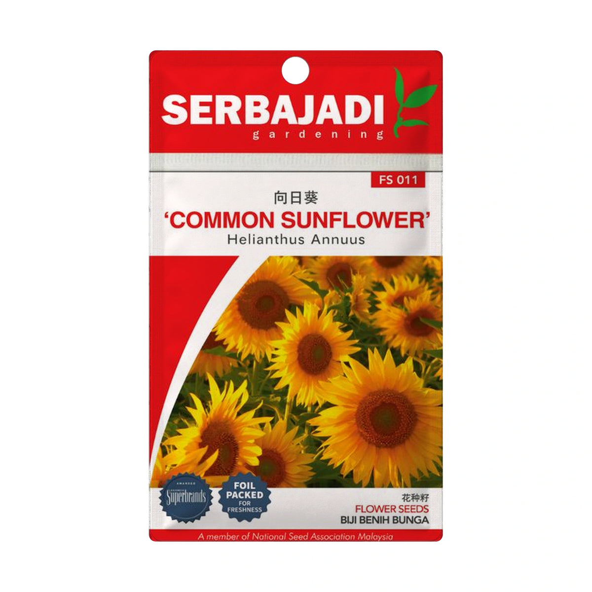 Serbajadi Common Sunflower FS011 - Giant Flowering for Towering Blooms