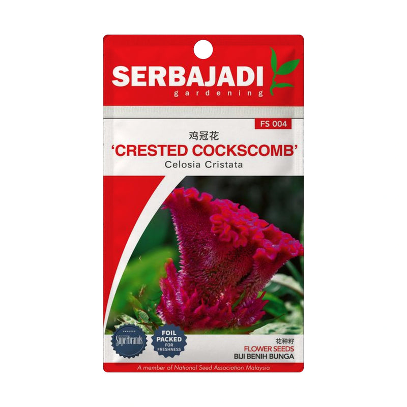 Serbajadi Crested Cockscomb Seeds FS004 seed packet on a white background.
