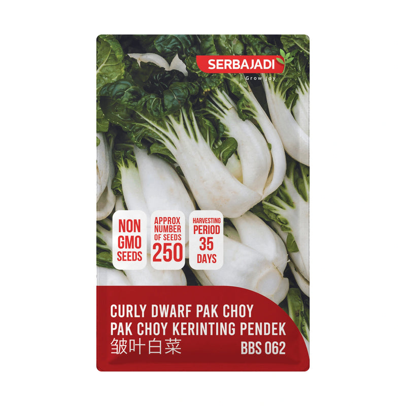Serbajadi Curly Dwarf Pak Choy Seeds VS062 seed packet on a white background.