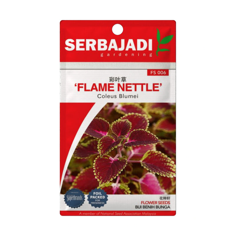 Serbajadi Flame Nettle Seeds FS006 seed packet on a white background.