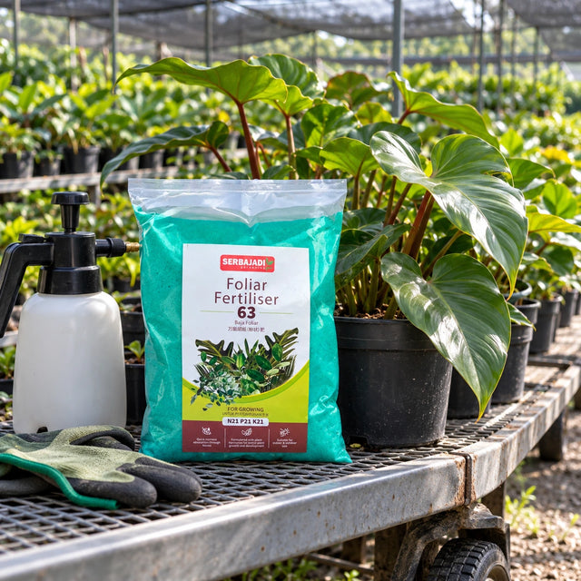 Serbajadi Foliar Growing Inducer 63 beside leafy plants in a nursery.