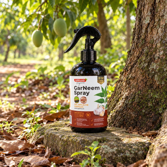 Serbajadi GarNeem Fire Ants beneath a tree in a garden.