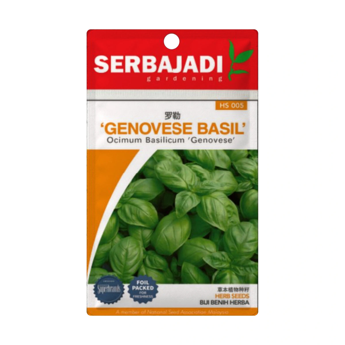 Serbajadi Genovese Basil Herb Seed HS005 - Fast Growth for Aromatic Home Cooking