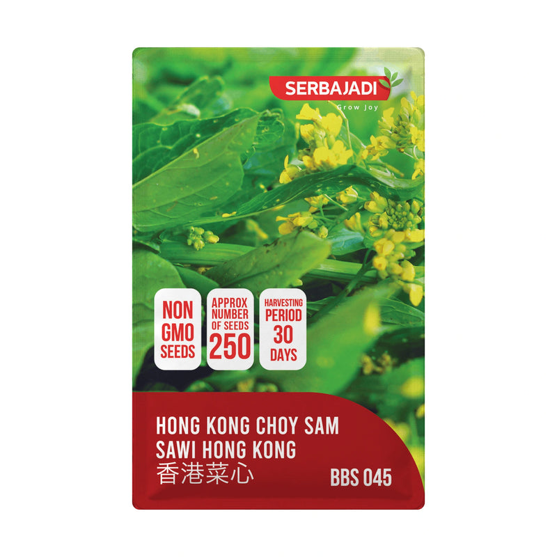 Serbajadi Hong Kong Choy Sam Seeds VS045 seed packet on a white background.