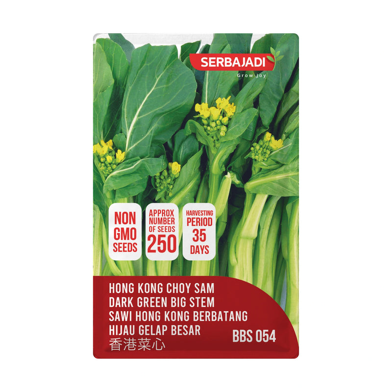 Serbajadi Hong Kong Dark Green Big Stem Choy Sam Seeds VS054 seed packet on a white background.