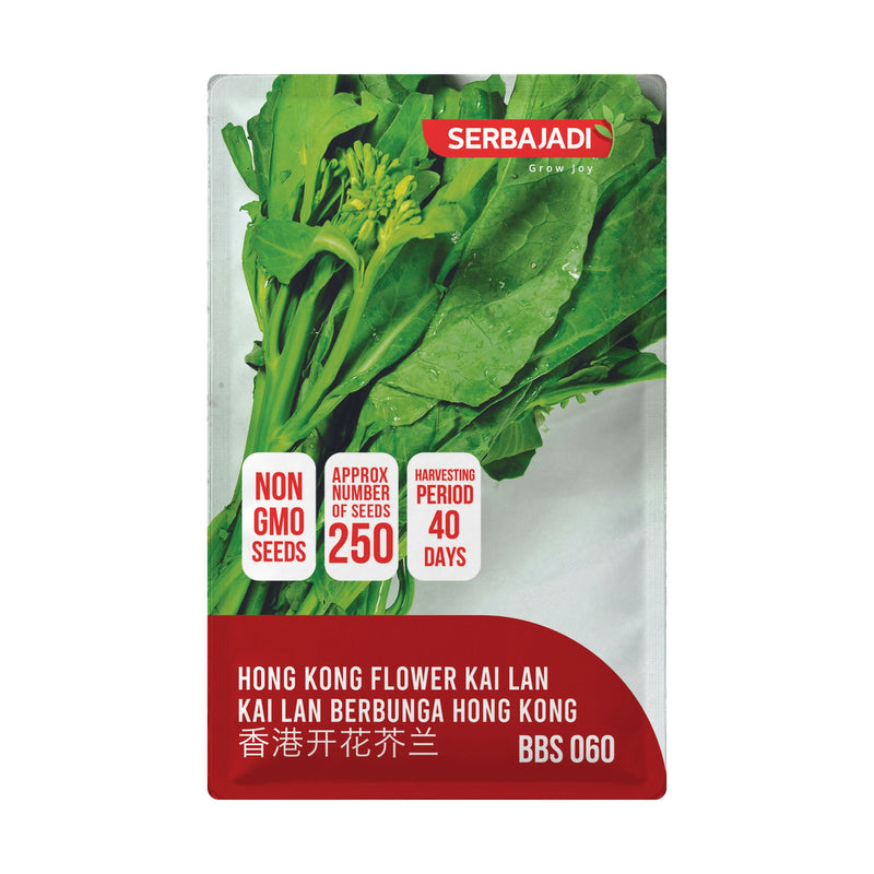 Serbajadi Hong Kong Stem Flower Chinese Kale Seeds VS060 seed packet on a white background.