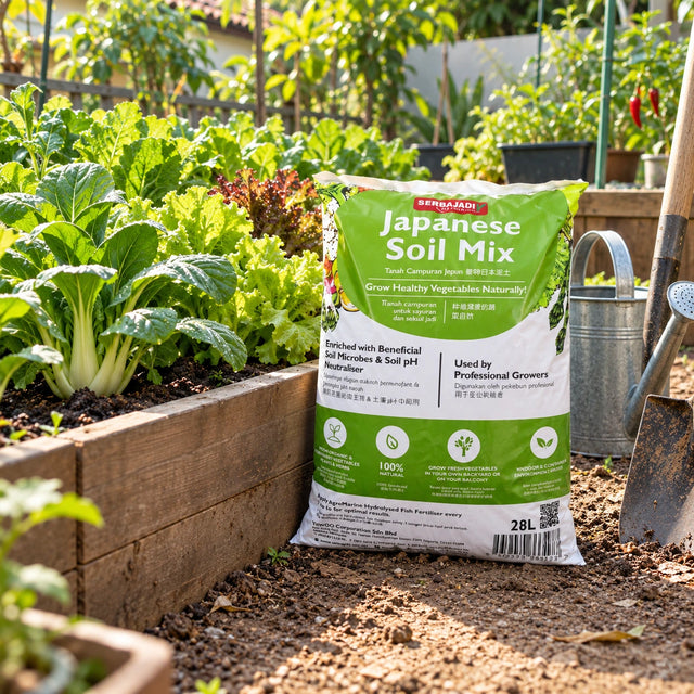 Serbajadi Japanese Soil Mix beside vegetables in a raised bed.