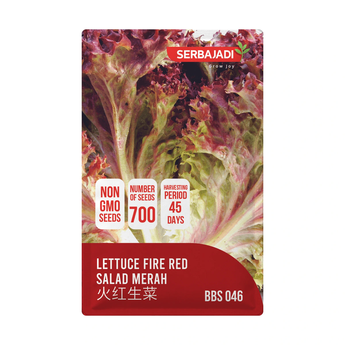 Serbajadi Lettuce Fire Red - Promotes Healthy Leafy Growth for Vibrant Salads