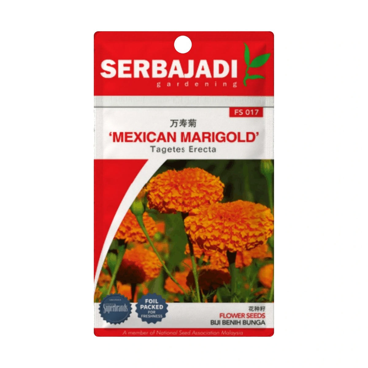 Serbajadi Mexican Marigold FS017 - Vibrant Blooms & Transform Dull Gardens