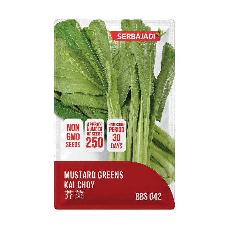Serbajadi Mustard Green Seeds VS042 seed packet on a white background.