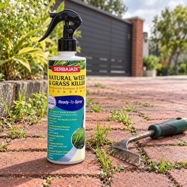 Serbajadi Natural Weed & Grass Killer beside a garden path and hand tools.