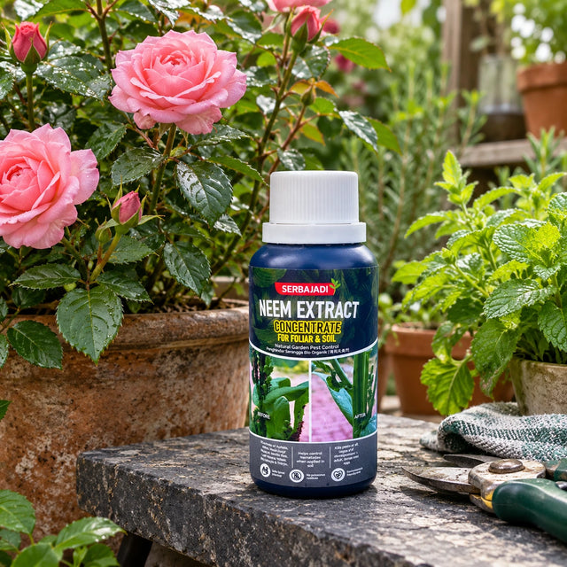 Serbajadi Neem Extract Concentrate beside flowering roses.