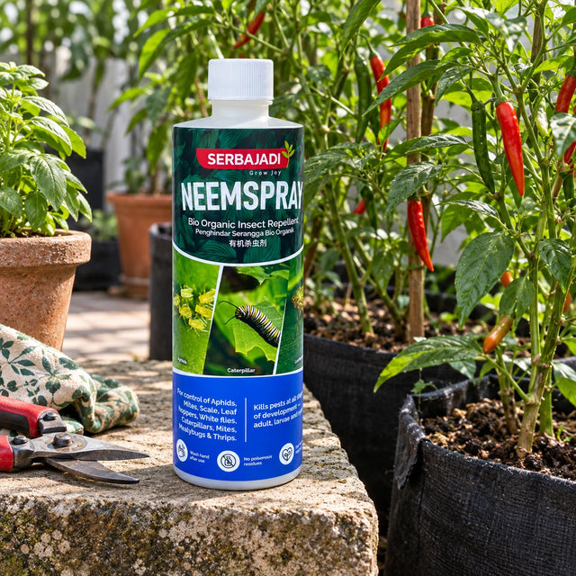 Serbajadi Neem Spray beside plants on a garden bench.