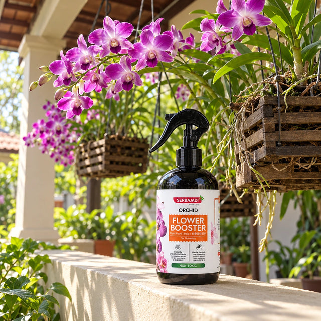 Serbajadi Orchid Flower Booster beside flowering orchids.