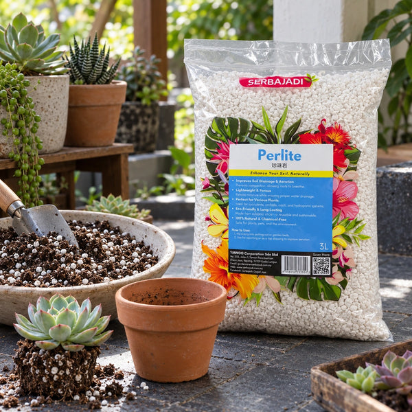 Serbajadi Perlite beside potted plants and a bowl of perlite.