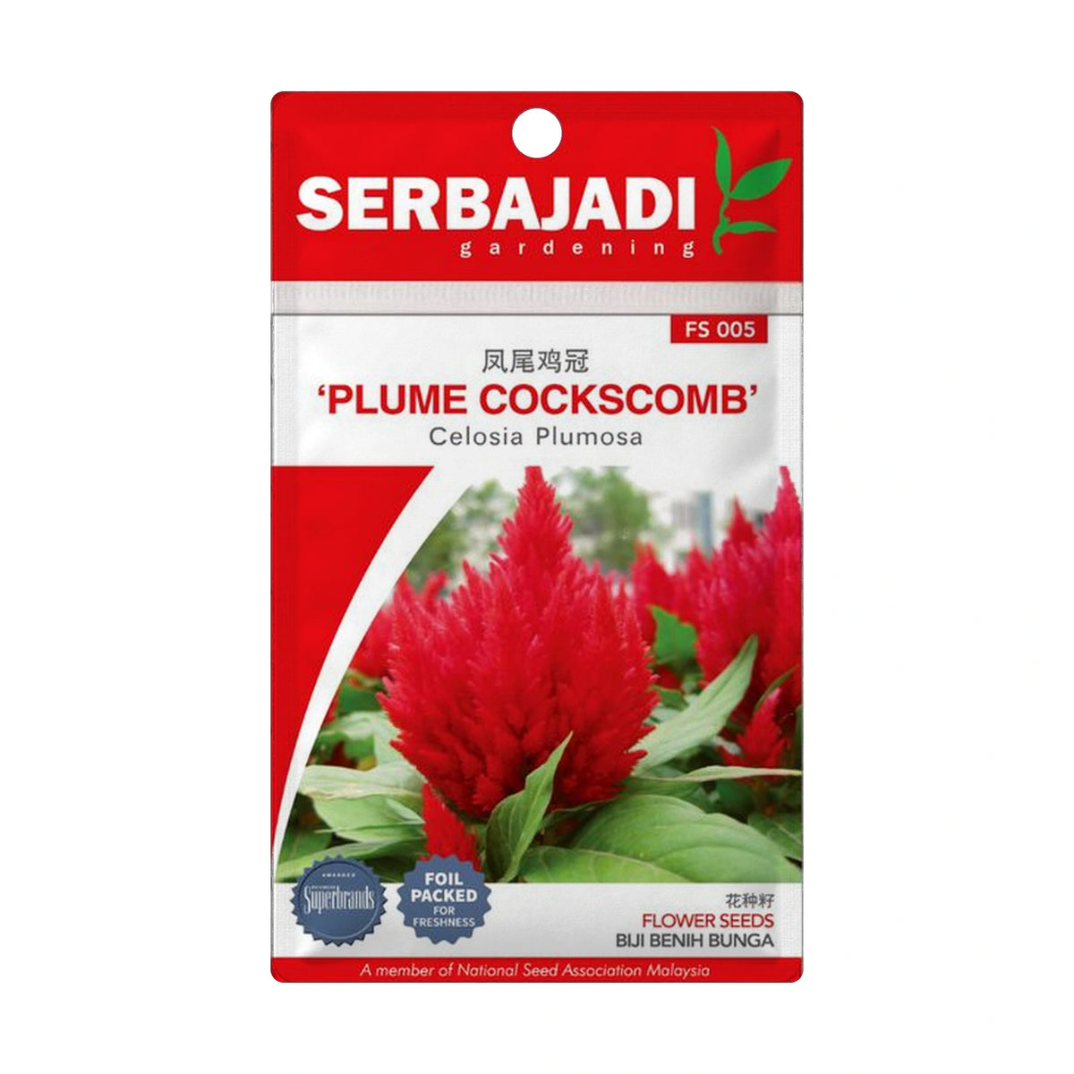 Serbajadi Plumed Cockscomb s - Fast Germination, Heat-Tolerant & Vibrant Blooms for Easy Flowering