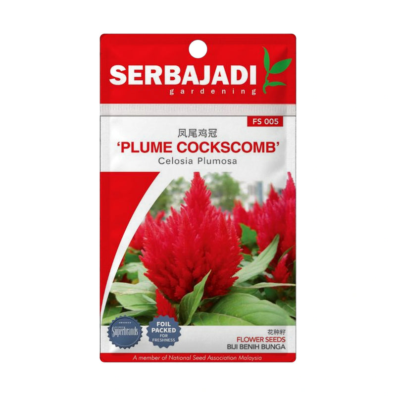 Serbajadi Plumed Cockscomb Seeds FS005 seed packet on a white background.