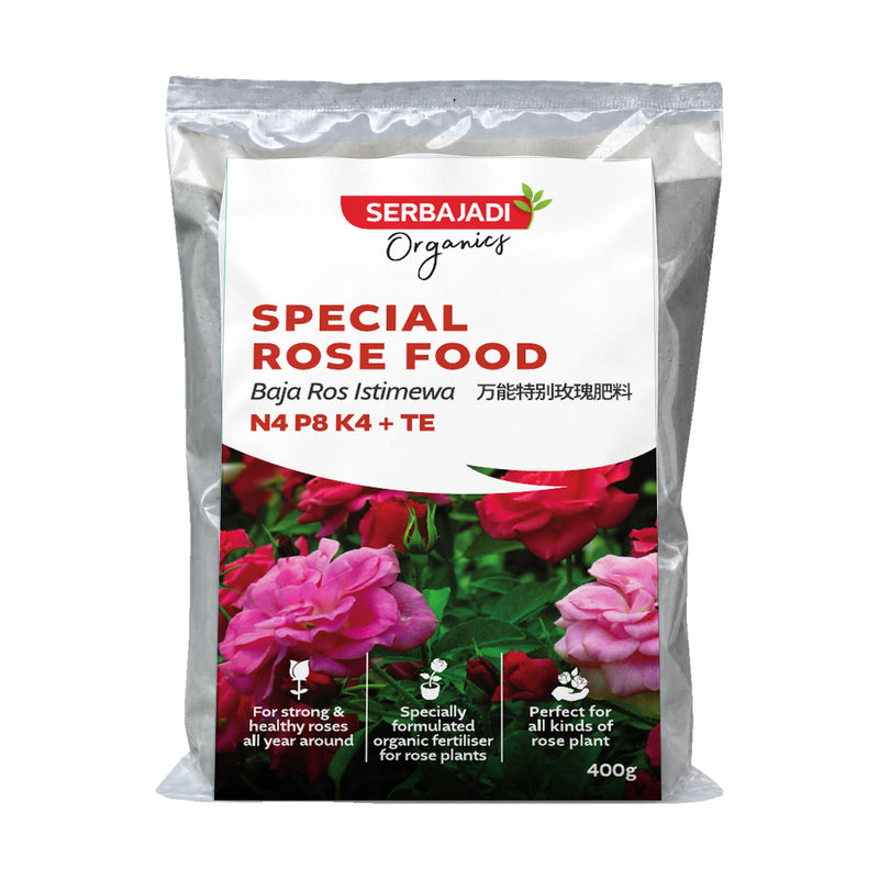 Serbajadi Rose Food Special on a white background.