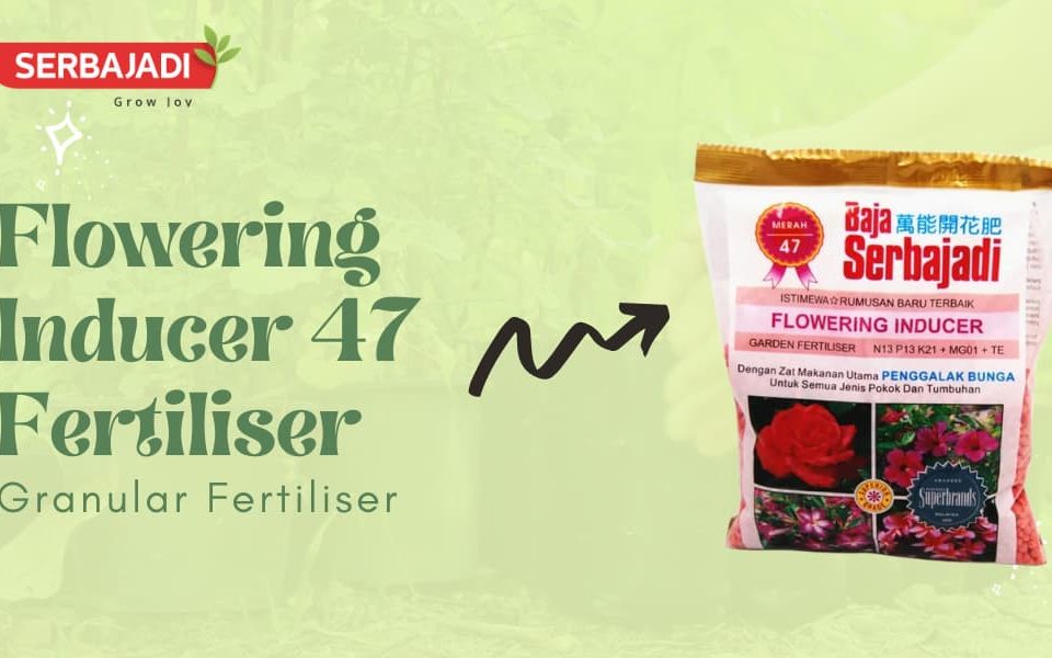 Serbajadi Flowering Inducer 47 Fertiliser