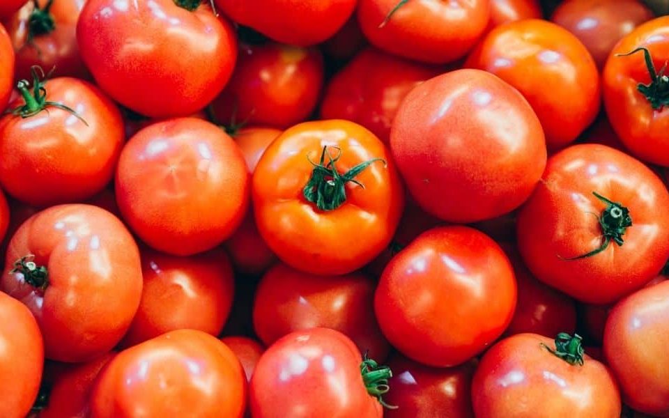 How To Get More Tomatoes