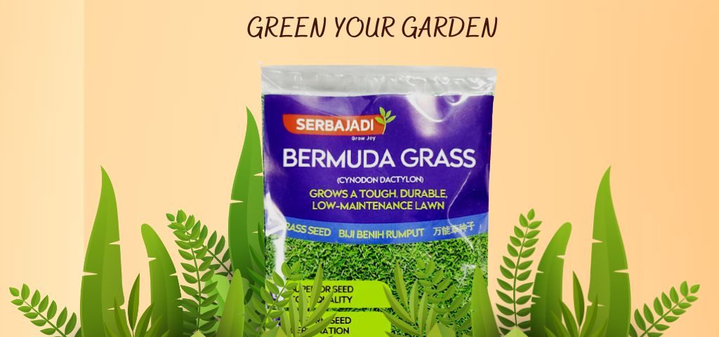 Bermuda Grass Seed