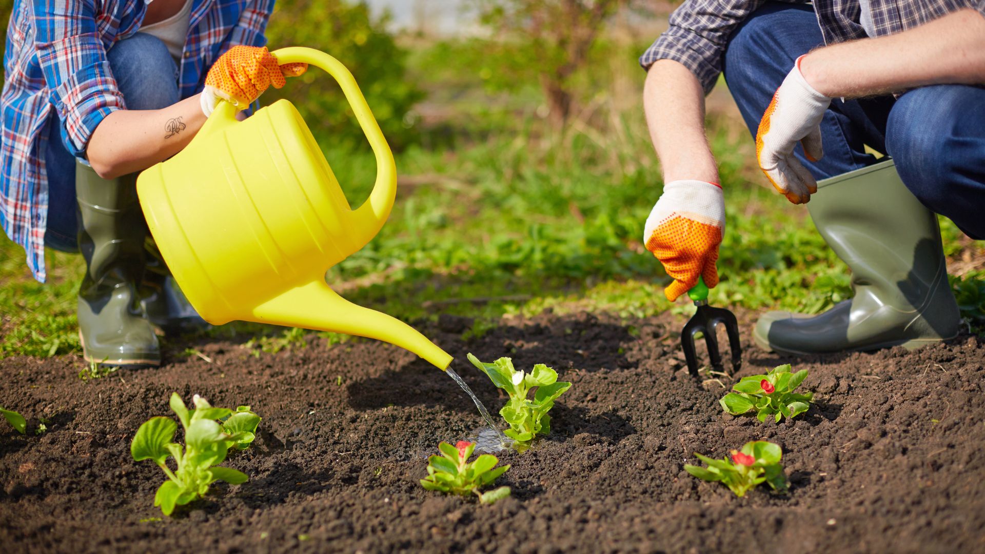 Home Garden