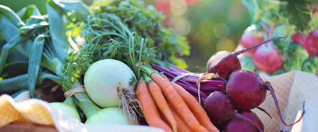 Benefits-of-homegrown-vegetables