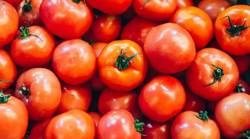 How-To-Get-More-Tomatoes