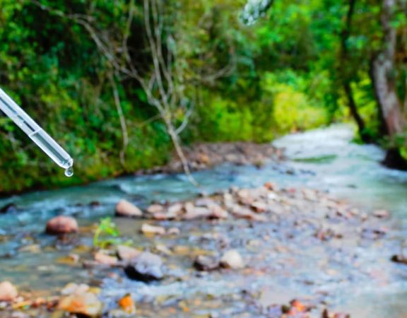 Water-Conservation-Begins-At-Home