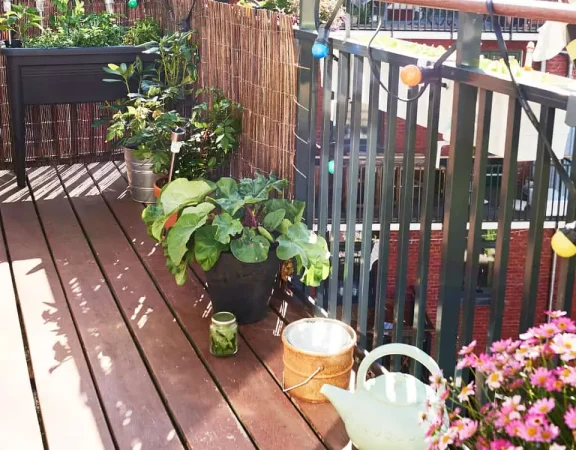 Ways-To-Create-Balcony-Garden